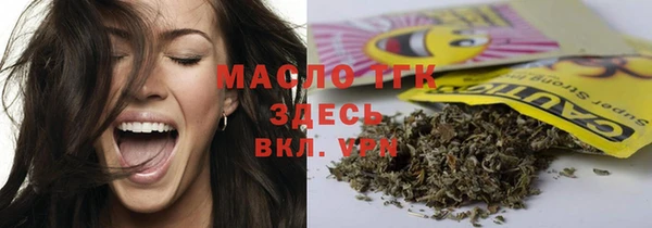 амф Тайга