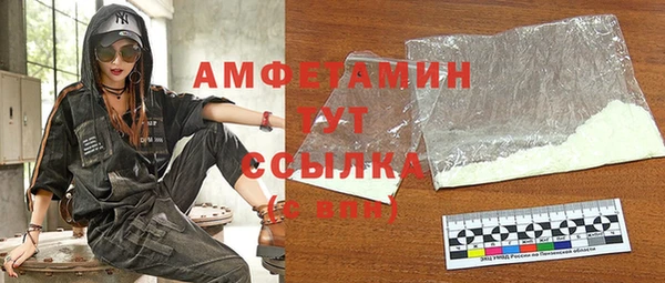 амф Тайга