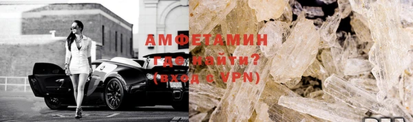 амф Тайга