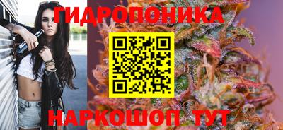 spice Заволжье