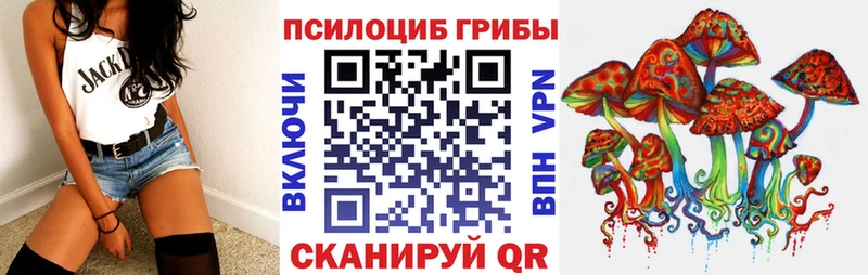 купить наркотик  Мценск  Псилоцибиновые грибы Psilocybe 